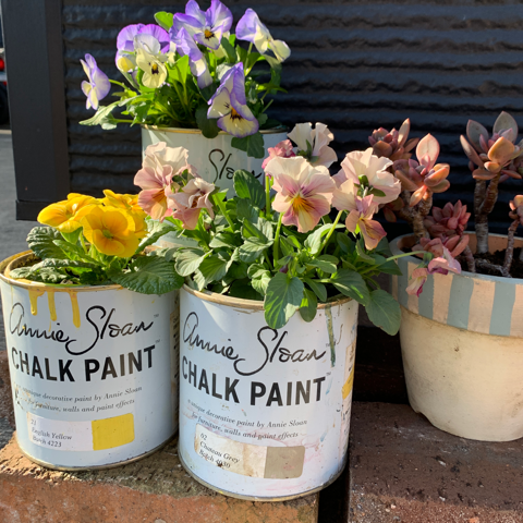 株式会社iina Style Instabio